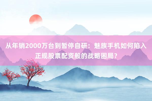 从年销2000万台到暂停自研：魅族手机如何陷入正规股票配资般的战略困局？