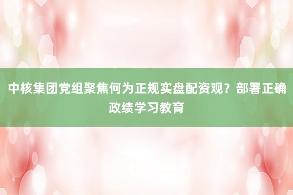 中核集团党组聚焦何为正规实盘配资观？部署正确政绩学习教育