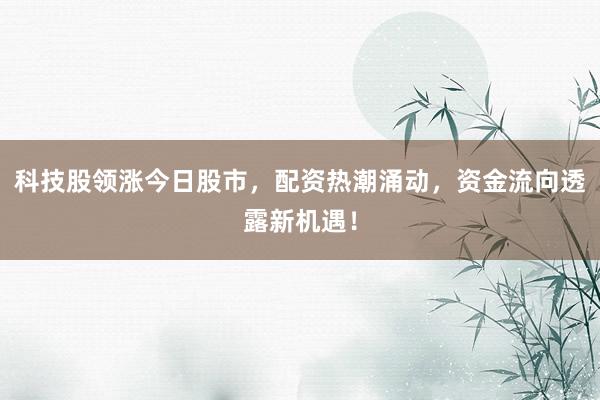 科技股领涨今日股市，配资热潮涌动，资金流向透露新机遇！