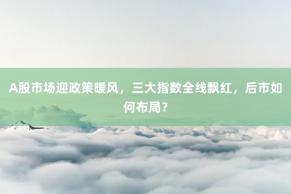 A股市场迎政策暖风，三大指数全线飘红，后市如何布局？