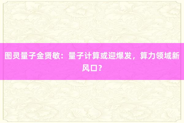 图灵量子金贤敏：量子计算或迎爆发，算力领域新风口？