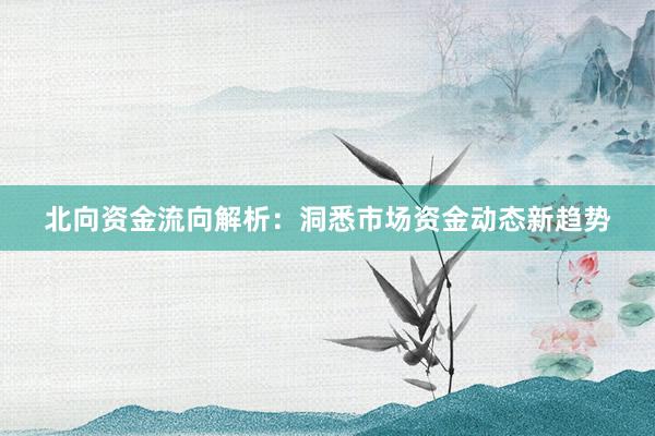 北向资金流向解析：洞悉市场资金动态新趋势