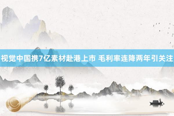 视觉中国携7亿素材赴港上市 毛利率连降两年引关注